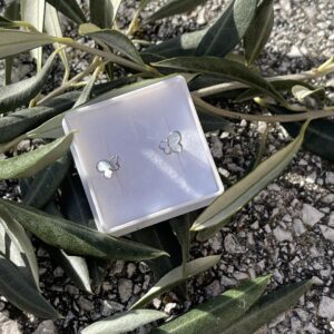 Naušnice leptirići